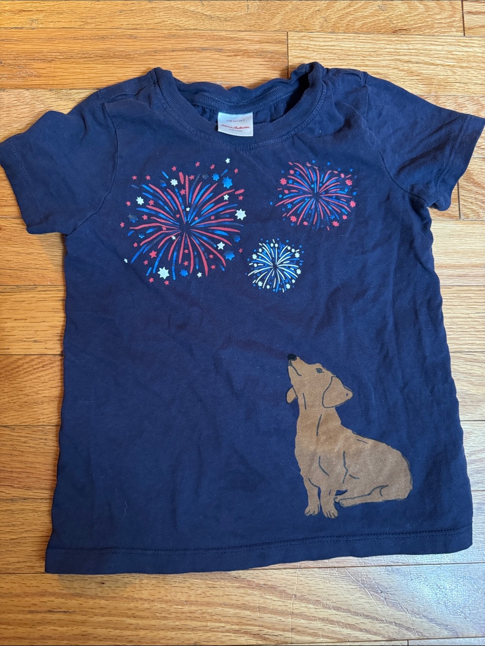Hanna Andersson Navy Tee with Brown Dog & Red, Pink, Blue Fireworks